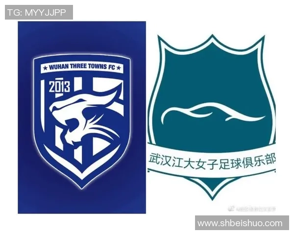 武汉排球队以78分领跑大师赛积分榜展现强大实力