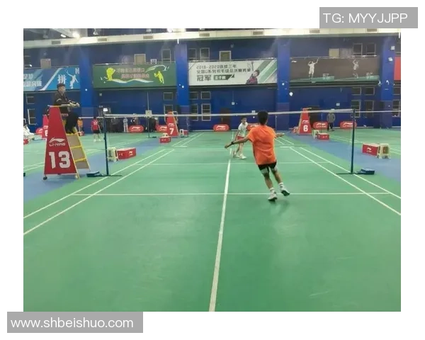 武汉羽毛球队的速度之美与技术探秘：全面解析羽毛球竞技魅力